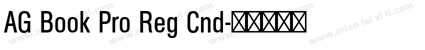 AG Book Pro Reg Cnd字体转换